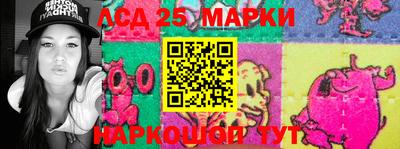 молекула духа Новозыбков