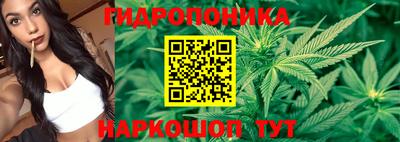 прущие крисы Новодвинск