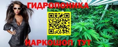 прущие крисы Новодвинск