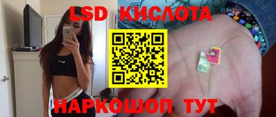 молекула духа Новозыбков
