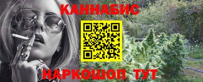 молекула духа Новозыбков