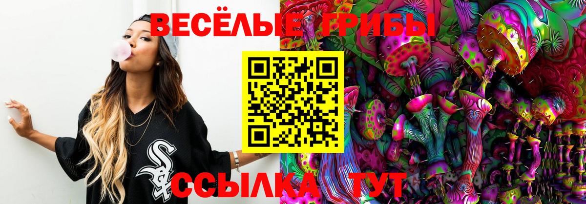 Галлюциногенные грибы GOLDEN TEACHER Сосновый Бор