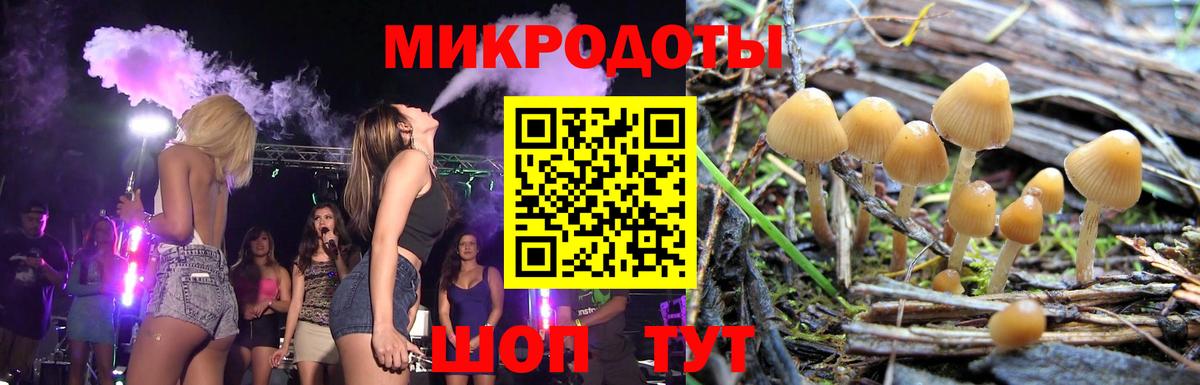 Псилоцибиновые грибы MAGIC MUSHROOMS  Вход с VPN  Сосновый Бор 